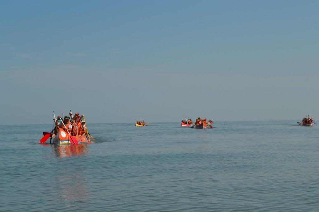 DSC_7394 (Medium).jpg